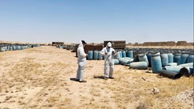 upload 1715253683 1553744562 edit 608005615979084