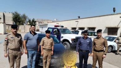 upload 1716379397 1227857156 edit 115108015611629