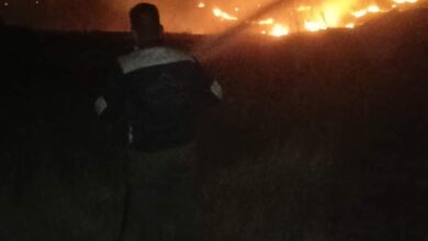 فرق الدفاع المدني تخمد حريقا اندلع بمساحات من الحشائش في نينوى 6 FB IMG 1719094289261