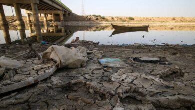 Screenshot 2024 06 16 08 35 01 31 40deb401b9ffe8e1df2f1cc5ba480b12