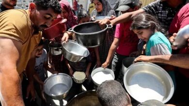 upload 1718404120 1893761190