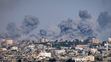 upload 1718451441 2037975976 edit 606025633599197