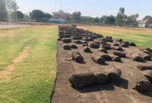 upload 1719749483 481168891 edit 1235184244893621