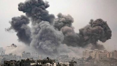 Screenshot 2024 07 03 09 44 43 71 40deb401b9ffe8e1df2f1cc5ba480b12