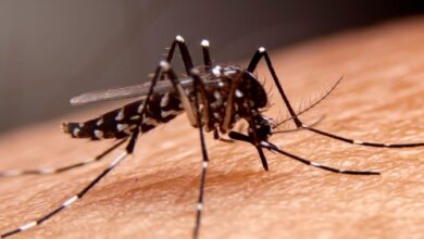 وزارة الصحة الفلسطينية تسجل أول إصابة بمرض حمى النيل الغربي 9 Screenshot 2024 07 07 09 41 01 72 40deb401b9ffe8e1df2f1cc5ba480b12