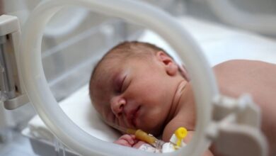 Screenshot 2024 07 21 10 20 54 15 40deb401b9ffe8e1df2f1cc5ba480b12