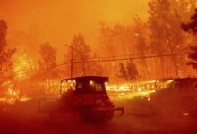 Screenshot 2024 07 26 08 39 30 72 40deb401b9ffe8e1df2f1cc5ba480b12