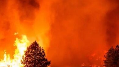 Screenshot 2024 07 28 09 07 31 90 40deb401b9ffe8e1df2f1cc5ba480b12