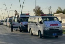 upload 1721122283 358014035 edit 50953594730421