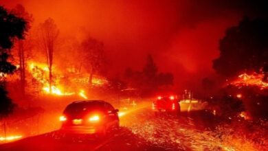 upload 1722226817 1219051266 edit 617251907260791