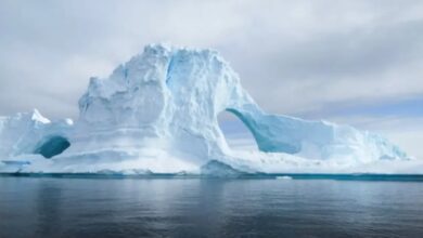 تسجيل درجة حرارة قياسية وسط القارة القطبية الجنوبية 8 Screenshot 2024 08 10 09 54 32 40 40deb401b9ffe8e1df2f1cc5ba480b12