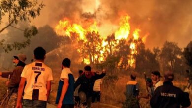 بعد إجلاء السكان..الدفاع المدني الجزائري يسيطر على حرائق منطقة القبائل 6 Screenshot 2024 08 12 09 54 52 76 40deb401b9ffe8e1df2f1cc5ba480b12