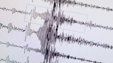 هزة أرضية قوية تضرب سوريا والأردن 3 Screenshot 2024 08 13 10 00 38 49 40deb401b9ffe8e1df2f1cc5ba480b12