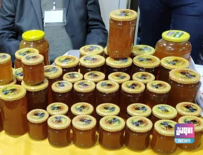 بأكثر من 190 ألف خلية.. الزراعة تستعد لإقامة المهرجان الأول لإنتاج العسل 1 Screenshot 2024 08 14 15 37 05 02 40deb401b9ffe8e1df2f1cc5ba480b12