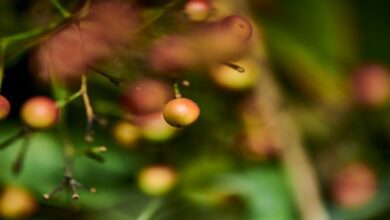 Screenshot 2024 08 22 08 59 08 58 40deb401b9ffe8e1df2f1cc5ba480b12