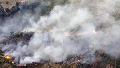 النيران تلتهم مساحات واسعة من ولاية ساو باولو البرازيلية 8 Screenshot 2024 08 24 09 11 09 73 40deb401b9ffe8e1df2f1cc5ba480b12