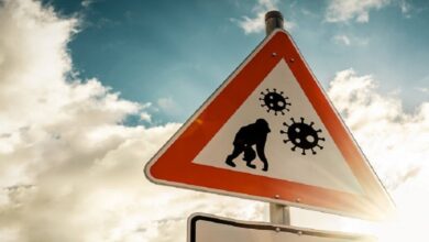 باكستان تسجل أول إصابة بجدري القردة العام الجاري 4 upload 1723806733 1848138058 edit 20041723233579