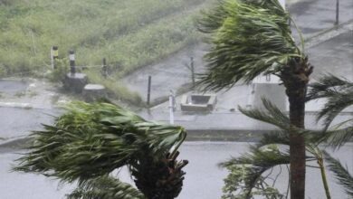 الإعصار العنيف شانشان يصل إلى جزيرة كيوشو اليابانية 6 upload 1724909369 1135900364 edit 570531090879