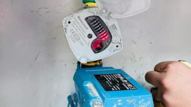 upload 1724924778 896173500 edit 3269915495117