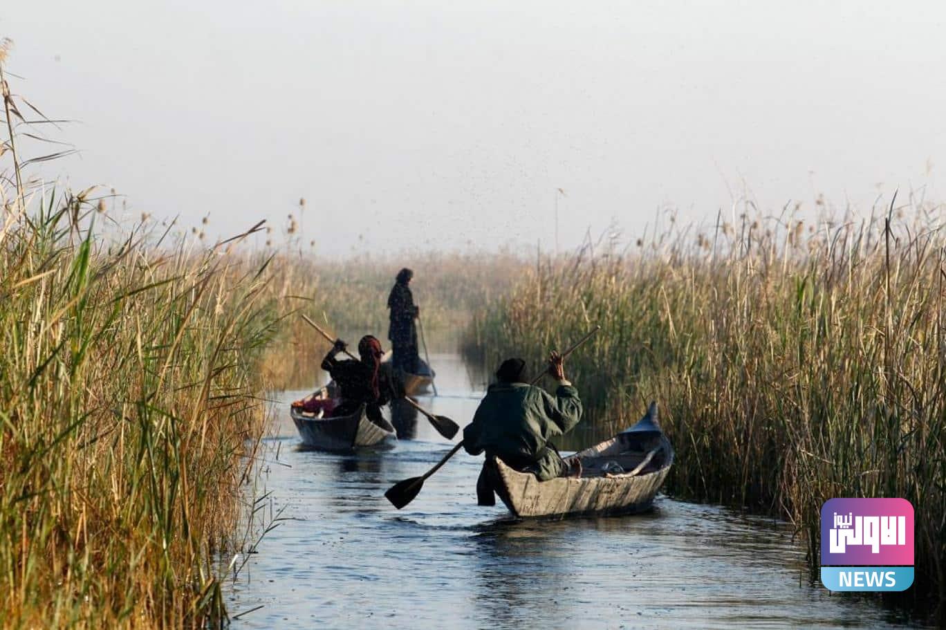 مكتب رئيس الوزراء يوفد فريقاً إلى ميسان للتحقق من نفوق الأسماك ووضع المعالجات 1 الأهوار في العراق