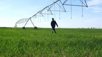 بتوفيرها (12) ألف مرشة.. الزراعة: التمويل النمساوي سيغطي مليون دونم جديد 3 Screenshot 2024 09 20 14 17 12 75 40deb401b9ffe8e1df2f1cc5ba480b12