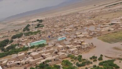 مصرع 33 شخصاً جراء الفيضانات 6 upload 1725430273 316677984 edit 285708969981797