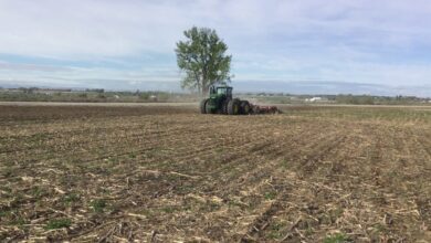 upload 1725441025 105769050 edit 291360616617365 1