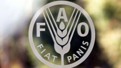 upload 1725447426 1405221870 edit 295467414382148