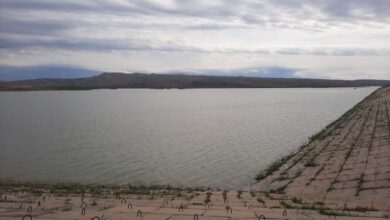 upload 1725526353 1845140210 edit 340360903782824