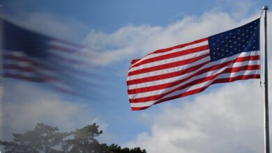 upload 1725606955 1783881848 edit 388520380957541