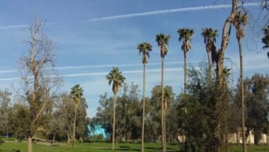 upload 1725619488 1465542328 edit 396857154122653