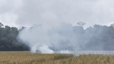 upload 1725686769 1571459855 edit 432443451851005