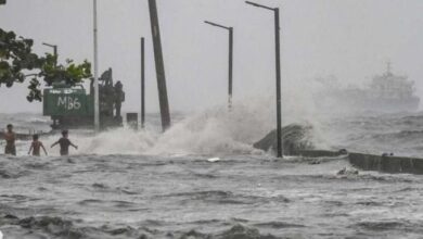 upload 1725688267 1864008653 edit 433223078792205