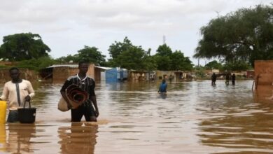 Screenshot 2024 10 09 08 59 46 92 40deb401b9ffe8e1df2f1cc5ba480b12