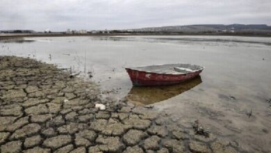 Screenshot 2024 10 10 10 07 50 77 40deb401b9ffe8e1df2f1cc5ba480b12